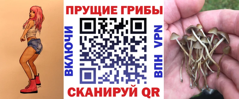 Галлюциногенные грибы MAGIC MUSHROOMS Купить где Курильск